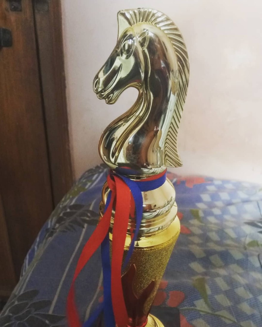 The knight's honour